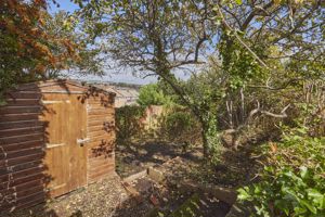Garden- click for photo gallery